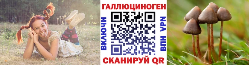 Псилоцибиновые грибы прущие грибы  как найти закладки  Красноармейск 