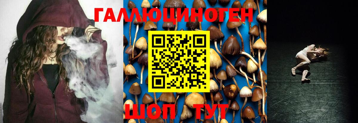 Галлюциногенные грибы GOLDEN TEACHER  что такое наркотик  Галлюциногенные грибы мицелий  Красноармейск  Вход с VPN 